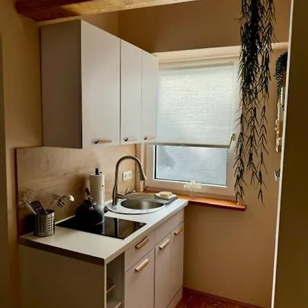 Apartment Residenz Zu Caub - Pfalzgrafenstein Kaub