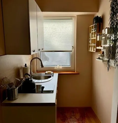 Residenz Zu Caub - Pfalzgrafenstein Appartement Kaub