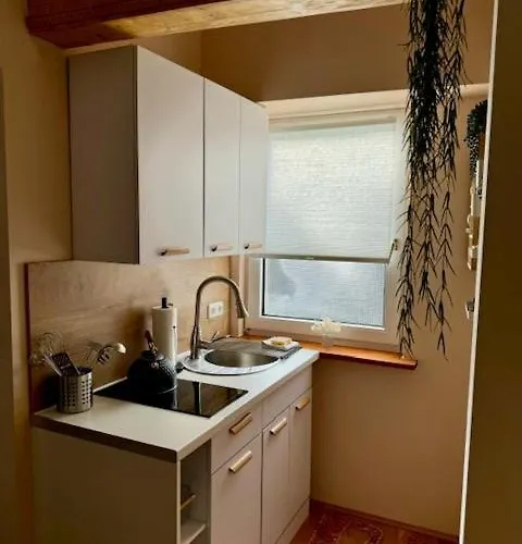 Appartement Residenz Zu Caub - Pfalzgrafenstein Kaub