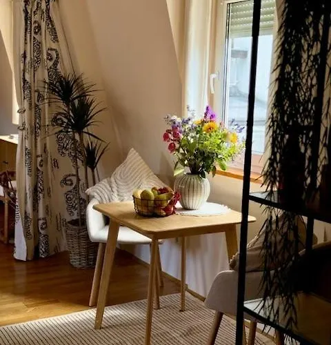 Residenz Zu Caub - Pfalzgrafenstein Appartement