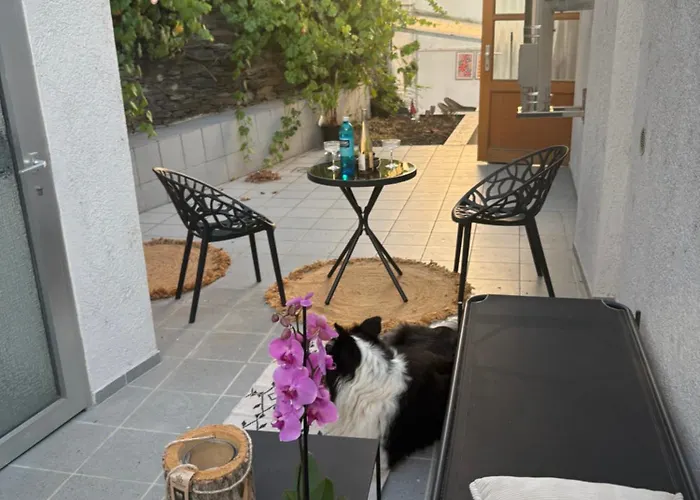 Residenz Zu Caub - Pfalzgrafenstein *